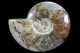Large Polished, Agatized Ammonite (Cleoniceras) - Madagascar #72879-1